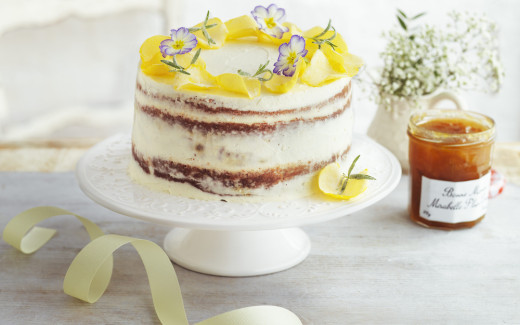 Vanilla & Almond Plum Layer Cake with Ricotta Frosting